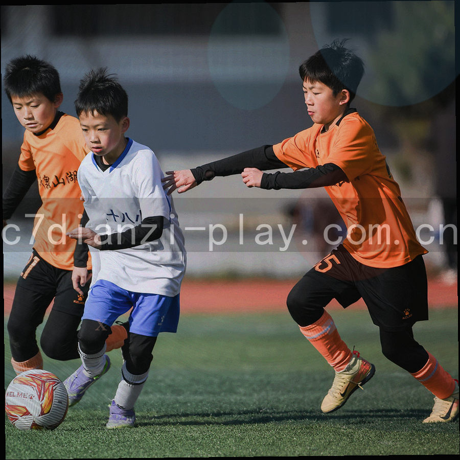 三个同心圆环代表工作日、两周与十二周三档节奏，环上分布刻度与光点